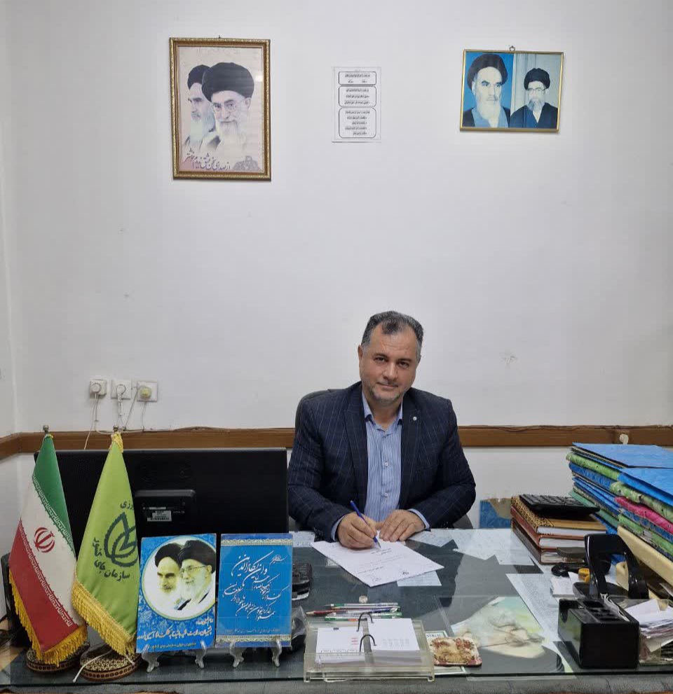 ۷۷ درصد از مطالبات چایکاران سیاهکلی پرداخت شد